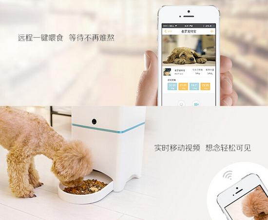 智能养宠的流行来自技术进步还是现实压力？(图1)