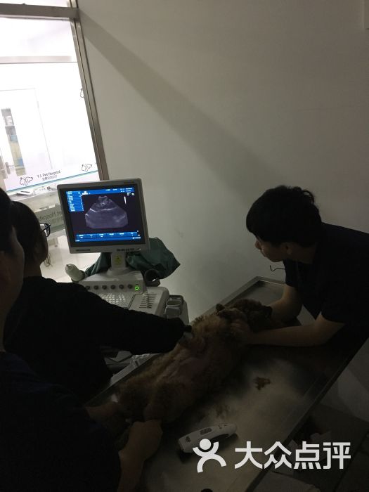 需求暴涨!最近这门生意太火爆!杭州有小伙春节能赚15000元(图1)