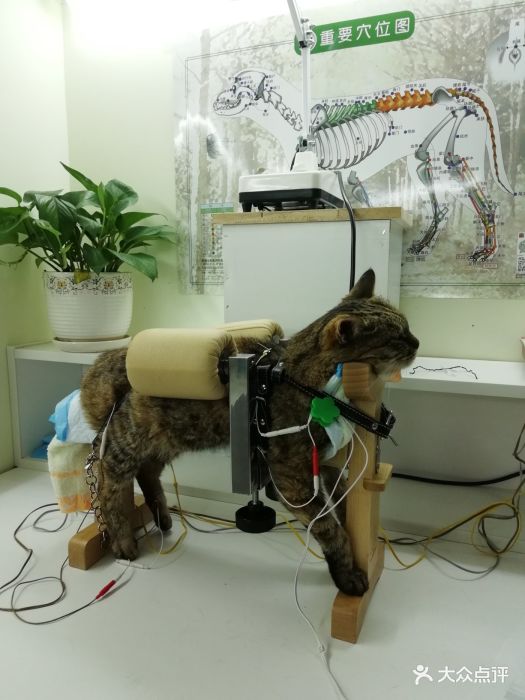 北京市昌平区老年养护中心(北京市昌平区南口镇照料中心)指南:医养服务内容+2026年康养服务介绍(图1)