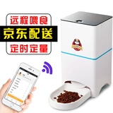 养宠神器直送香港：远程投食器+家私家电集运避坑指南(图1)