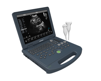 2026-2030年中国宠物培训行业市场前瞻与未来投资战略分析(图1)