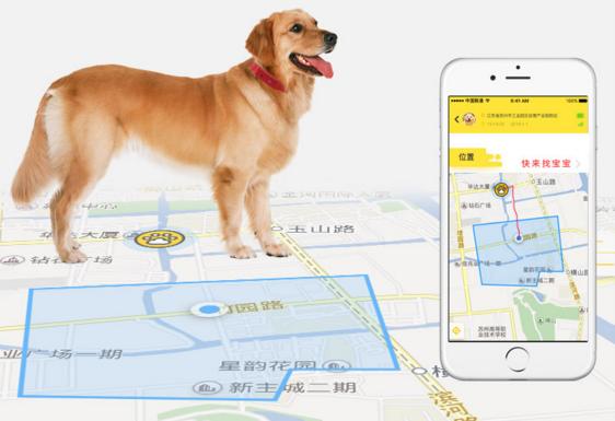 给宠物瞧个病咋就“踩了坑”？(图1)