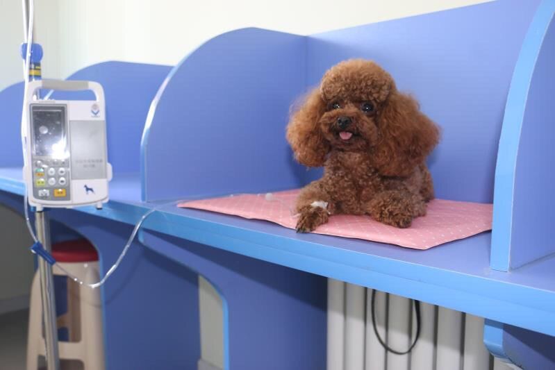 【关注】全国两会热议的“人工智能+”在泰康之家照进享老现实(图1)