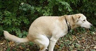 2025全球电商消费趋势及选品洞察报告(图1)