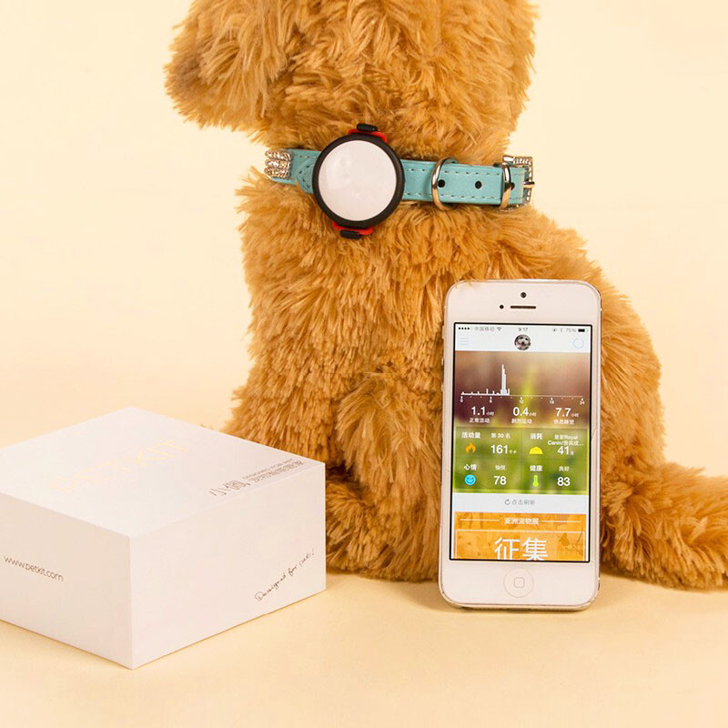 宠物健康检查:传染病预防指南docx(图1)