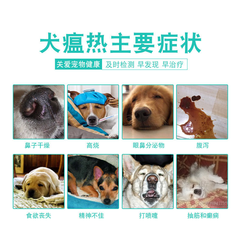 期待更多安全智能的好产品(图1)