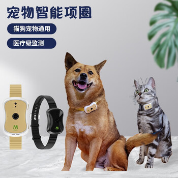 “小证明”发挥大作用浙江增添宠物服务新场景(图1)