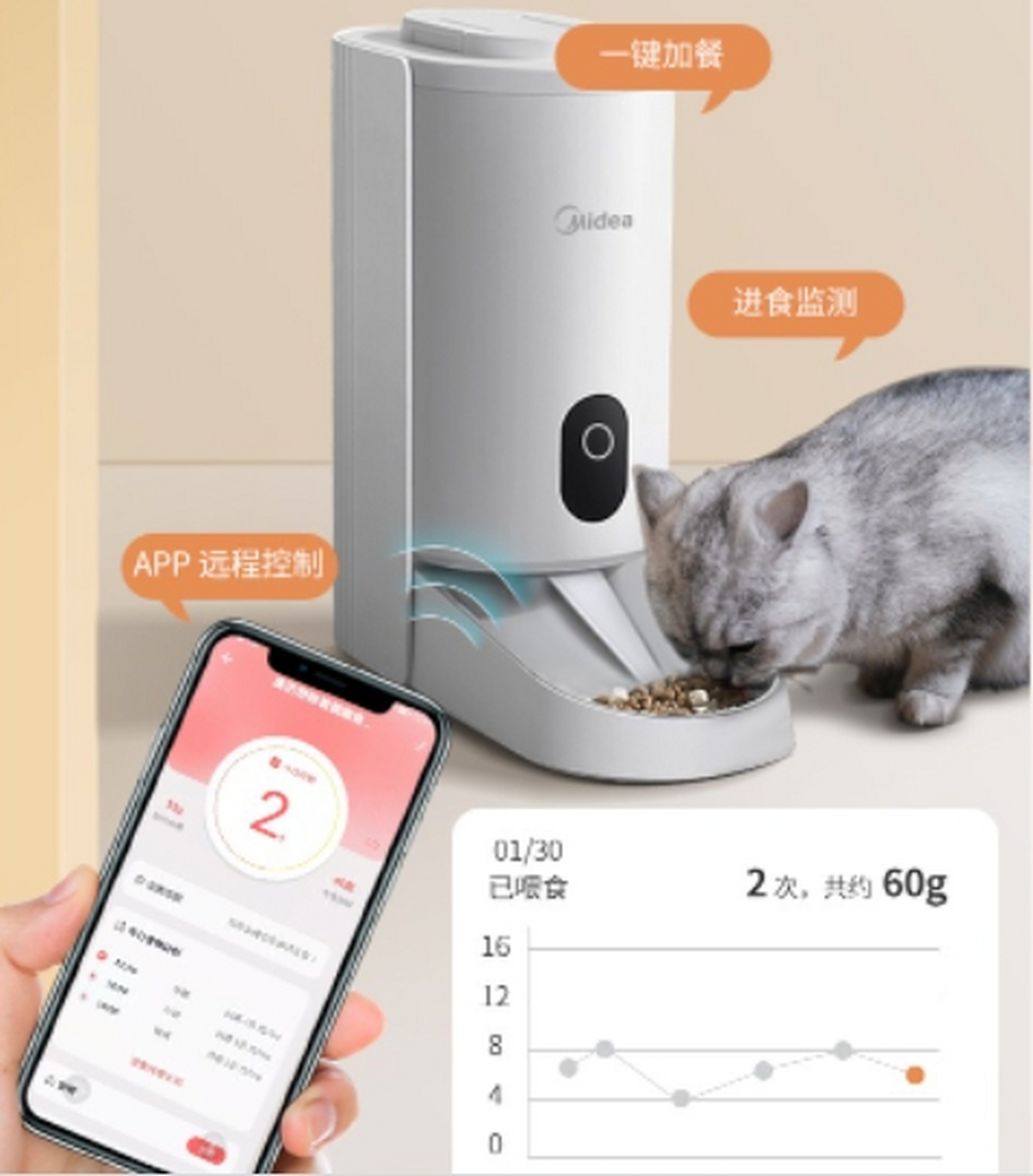 2026年中国宠物服饰行业：功能刚需、品牌突围与规范成长(图1)