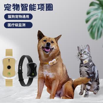 沙田镇启动春季动物防疫专项行动提供便民服务保障爱宠健康(图1)