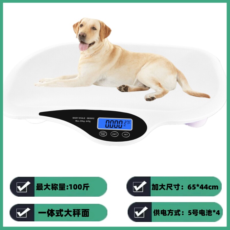 加速渗透！宠物AI手机交付订单达数万台距离真正“人宠互通”还有多远(图1)