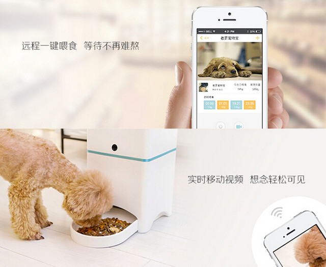 猫特嘞宠物喂食器(图1)