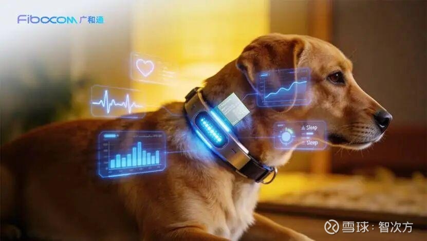 宠物可单独“坐高铁”了!高铁宠物托运今起优化(图1)