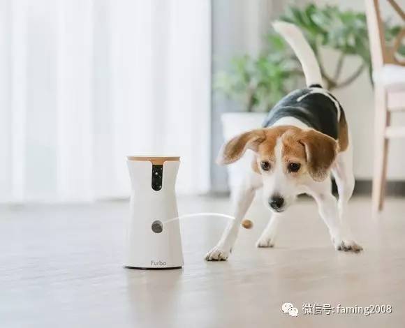 有摄像头的猫咪喂食器(图1)