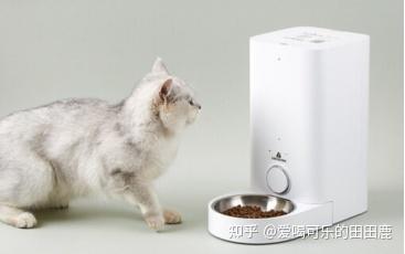 有点儿东西|把宠物当孩子养这份“铲屎官”松弛养宠指南请收好(图1)