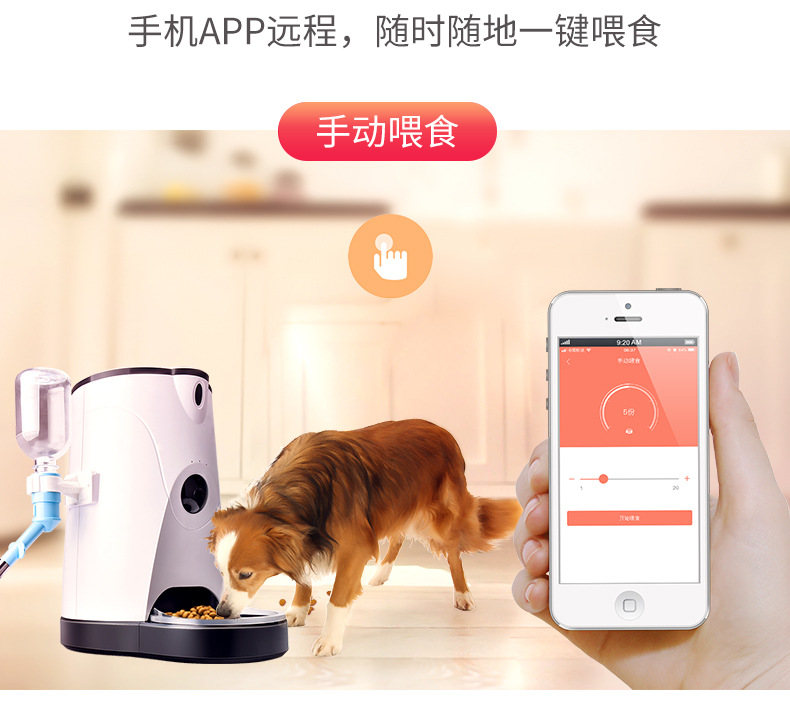 petwant自动喂食器(图1)